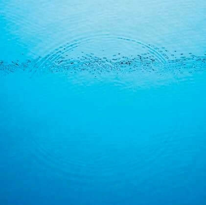 CARIBOU / カリブー / SUDDENLY (CD)