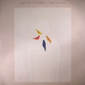 TIMOTHY B. SCHMIT / ティモシーB.シュミット / LEAP OF FAITH