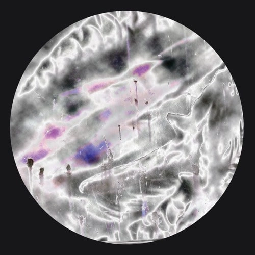 EXAEL & ARAD ACID / FURI