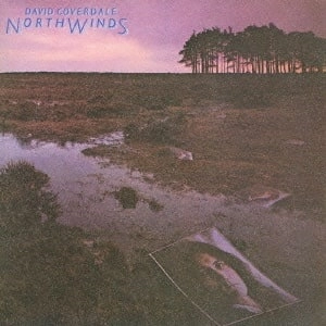 DAVID COVERDALE / デヴィッド・カヴァデール / 嵐の叫び / NORTH WINDS