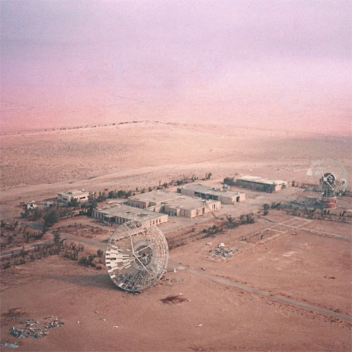 HONEYMOON (PUNK) / FROM THE FUTURE (LP)