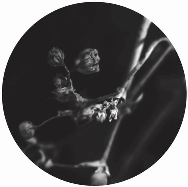LUIGI MADONNA / THE COLOURS OF THE DAY EP
