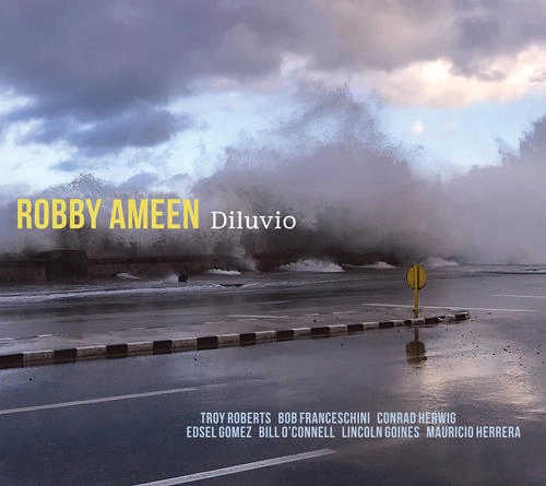 ROBBY AMEEN / ロビー・アミーン / DILUVIO