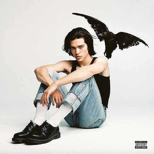 CONAN GRAY / コナン・グレイ / KID KROW (LP)