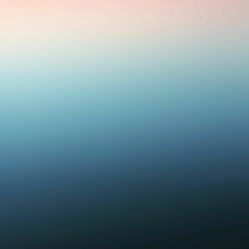NIGHT SEA / STILL