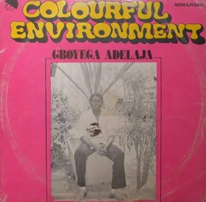 GBOYEGA ADELAJA / グボイエガ・アデラジャ / COLOURFUL ENVIRONMENT