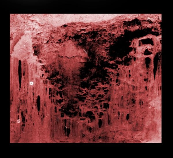 CONTORTUS / コントルツス / FOR THOSE WHO LOVE TO CAUSE PAIN