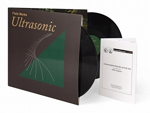 FIELD WORKS / ULTRASONIC