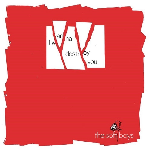 SOFT BOYS / ソフト・ボーイズ / I WANNA DESTROY YOU / NEAR THE SOFT BOYS（40TH ANNIVERSARY EDITION) / I WANNA DESTROY YOU / NEAR THE SOFT BOYS (40TH ANNIVERSARY EDITION)