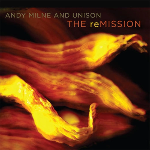 ANDY MILNE / アンディ・ミルン / REMISSION