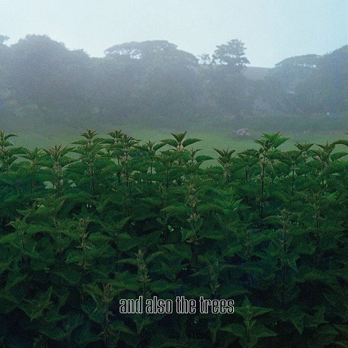 AND ALSO THE TREES / アンド・オールソー・ザ・ツリーズ / AND ALSO THE TREES（REX) / AND ALSO THE TREES (REX)