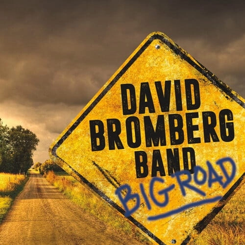 DAVID BROMBERG / デヴィッド・ブロンバーグ / BIG ROAD(LP)