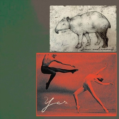 jan and naomi / YES