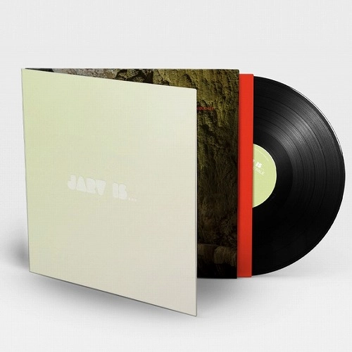 JARV IS... / BEYOND THE PALE（BLACK VINYL) / BEYOND THE PALE (BLACK VINYL)