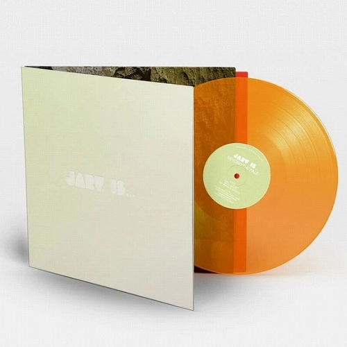 JARV IS... / BEYOND THE PALE（COLORED VINYL) / BEYOND THE PALE (COLORED VINYL)