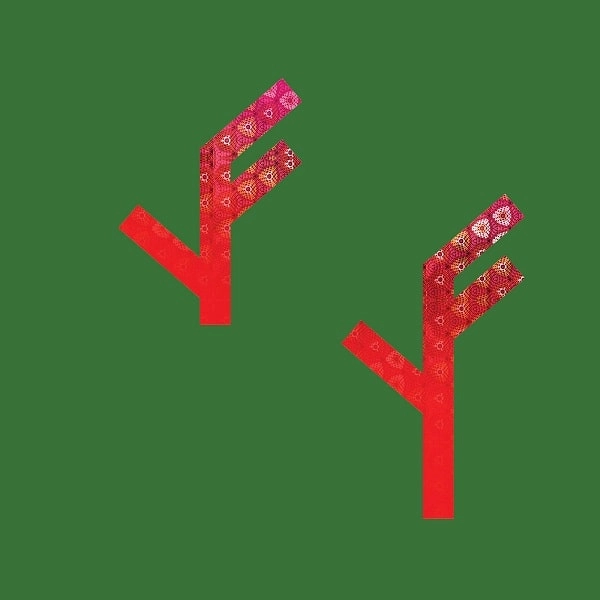 OWLS ARE NOT / オウルズ・アー・ノット / RADIO TREE