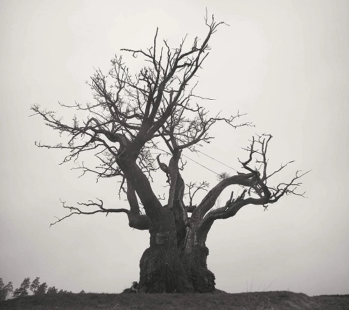 SEKAI NO OWARI (END OF THE WORLD) / SEKAI NO OWARI 2010-2019（通常盤 2CD）
