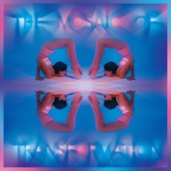 KAITLYN AURELIA SMITH / ケイトリン・アウレリア・スミス / THE MOSAIC OF TRANSFORMATION（BLACK VINYL) / THE MOSAIC OF TRANSFORMATION (BLACK VINYL)