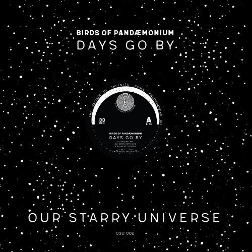 BIRDS OF PANDAEMONIUM / DAYS GO BY (BRYAN METTE REMIEXES)