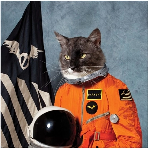 KLAXONS / クラクソンズ / SURFING THE VOID（ORANGE VINYL) / SURFING THE VOID (ORANGE VINYL)