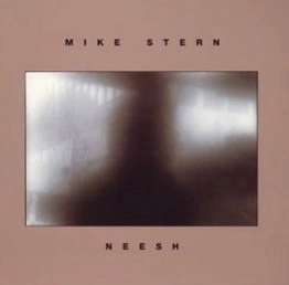 MIKE STERN / マイク・スターン / ファット・タイム / NEESH