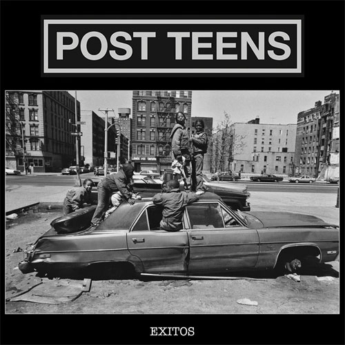 POST TEENS / EXITOS (LP)
