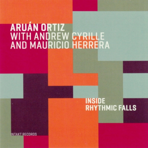 ARUAN ORTIZ / アルアン・オルティス / INSIDE OF RHYTHMIC FALLS