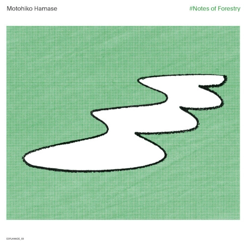 MOTOHIKO HAMASE / 濱瀬元彦 / #NOTES OF FORESTRY