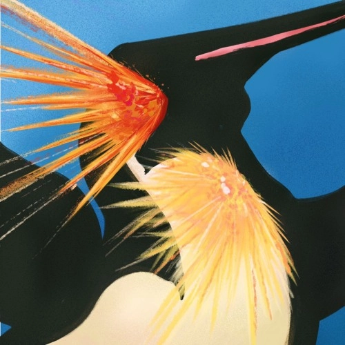 South Penguin / bubbles / mad love