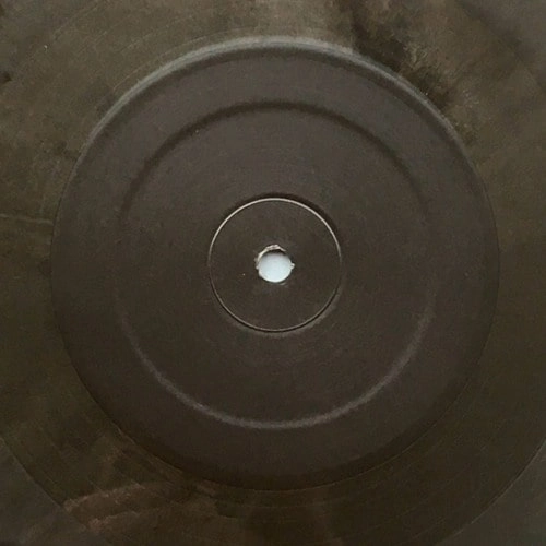 RYAN JAMES FORD / FISH FLAKES