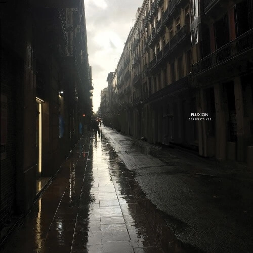 FLUXION / フラクション / PERSPECTIVES (CD)