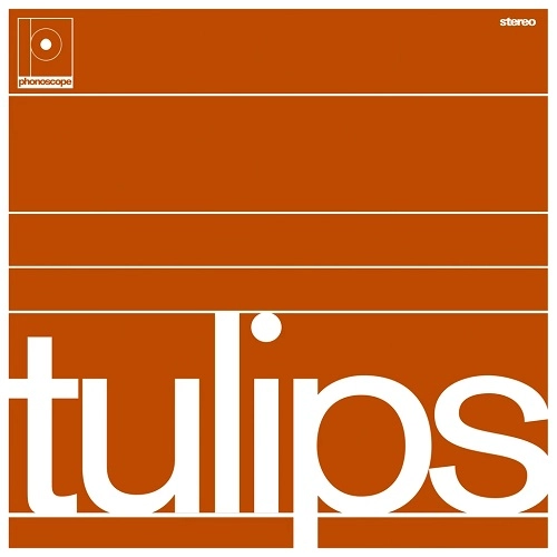 MASTON / TULIPS