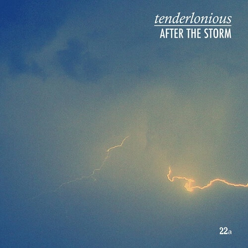 TENDERLONIOUS / テンダーロニアス / AFTER THE STORM