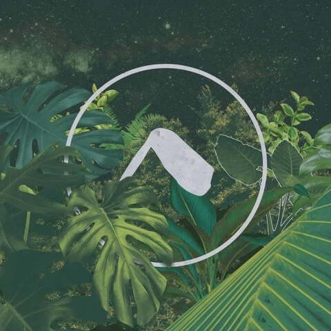 V.A. (SACBE) / SACBE - TULUM 18