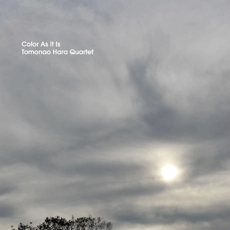 TOMONAO HARA / 原朋直 / カラー・アズ・イット・イズ / COLOR AS IT IS