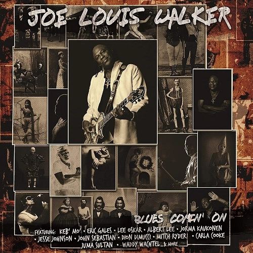JOE LOUIS WALKER / ジョー・ルイス・ウォーカー / BLUES COMIN' ON