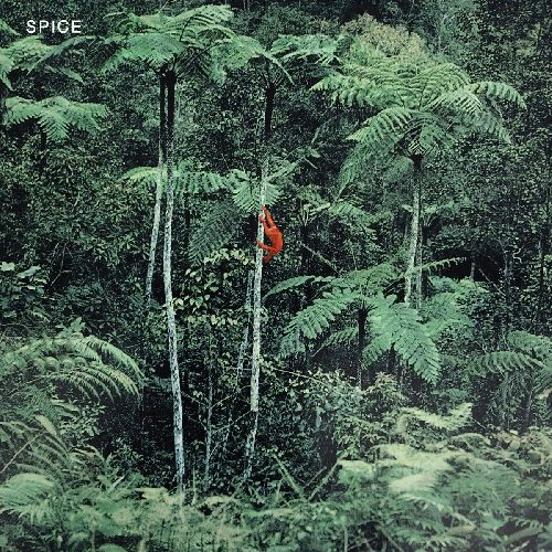 SPICE (INDIE ROCK) / スパイス / SPICE (COLORED VINYL)
