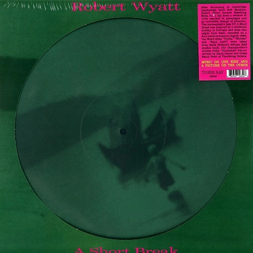 ROBERT WYATT / ロバート・ワイアット / A SHORT BREAK: LIMITED PICTURE DISC