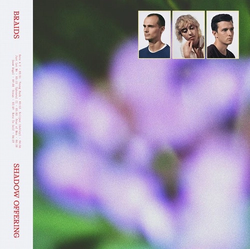 BRAIDS / ブレイズ / SHADOW OFFERING (CD)