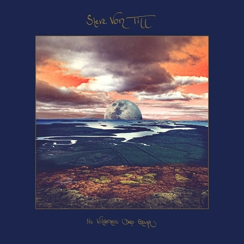 STEVE VON TILL / スティーヴ・ヴォン・ティル / NO WILDERNESS DEEP ENOUGH（LP) / NO WILDERNESS DEEP ENOUGH (LP)