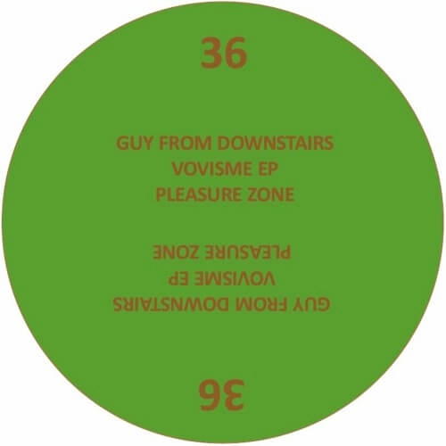 GUY FROM DOWNSTAIRS / VOVISME EP
