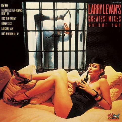 LARRY LEVAN / ラリー・レヴァン / ラリー・レヴァンズ・グレイテスト・ミキシーズ VOL.2 +13