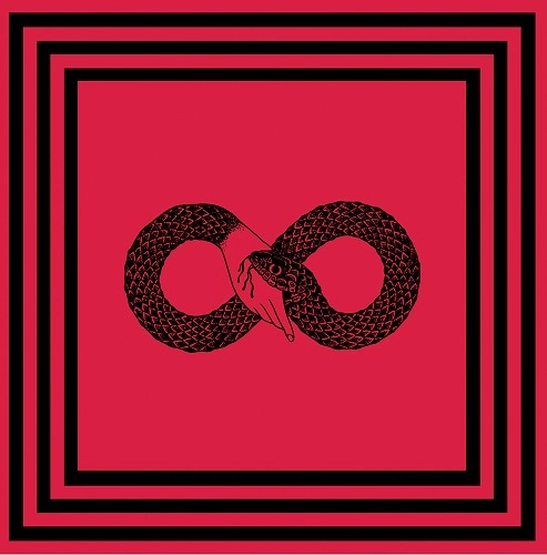 INFINITY FORMS OF YELLOW REMEMBER / INFINITY FORMS OF YELLOW REMEMBER（2LP) / INFINITY FORMS OF YELLOW REMEMBER (2LP)