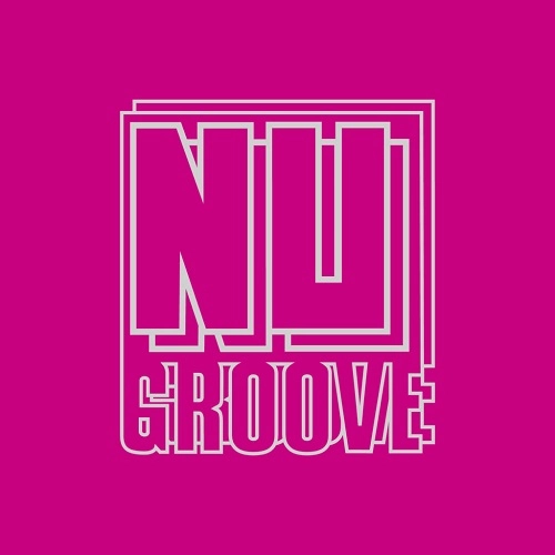 V.A. (NU GROOVE) / NU GROOVE RECORDS CLASSICS VOLUME 2