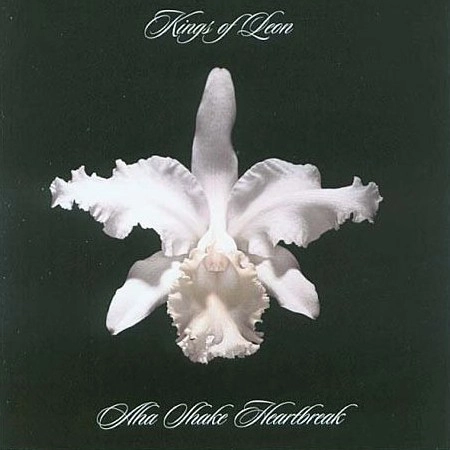 KINGS OF LEON / キングス・オブ・レオン / AHA SHAKE HEARTBREAK (180G)