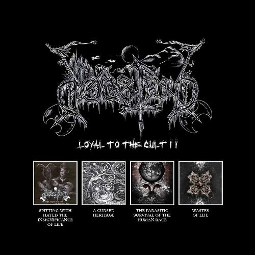 DODSFERD / LOYAL TO THE CULT II 