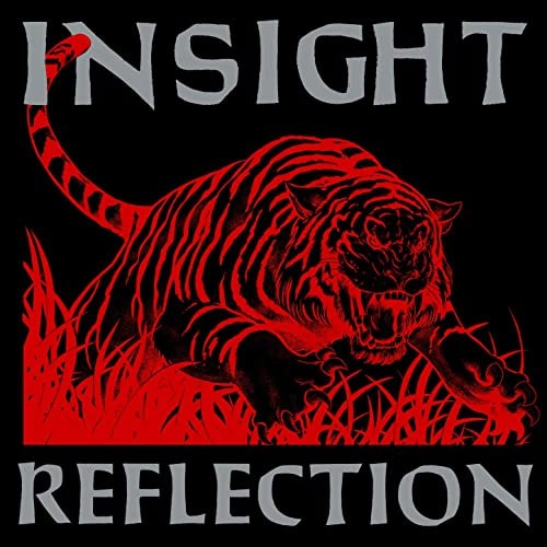 INSIGHT (PUNK) / REFLECTION