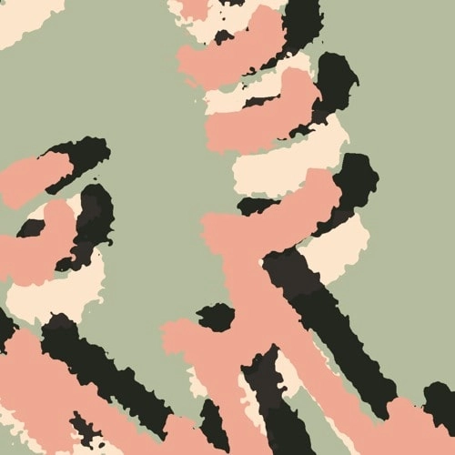 SHIELDING / COLLECTING SEAWEED EP