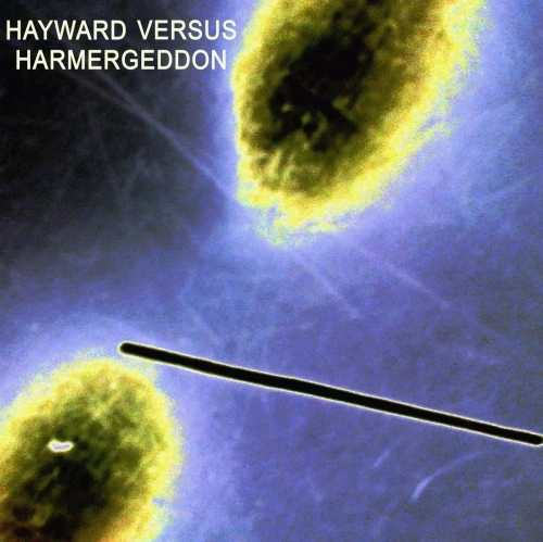 CHARLES HAYWARD VERSUS HARMERGEDDON / CHARLES HAYWARD VERSUS HARMERGEDDON
