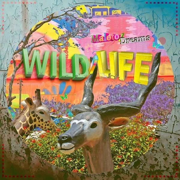 WILD/LIFE / ワイルド・ライフ / MALOTO/DREAMS